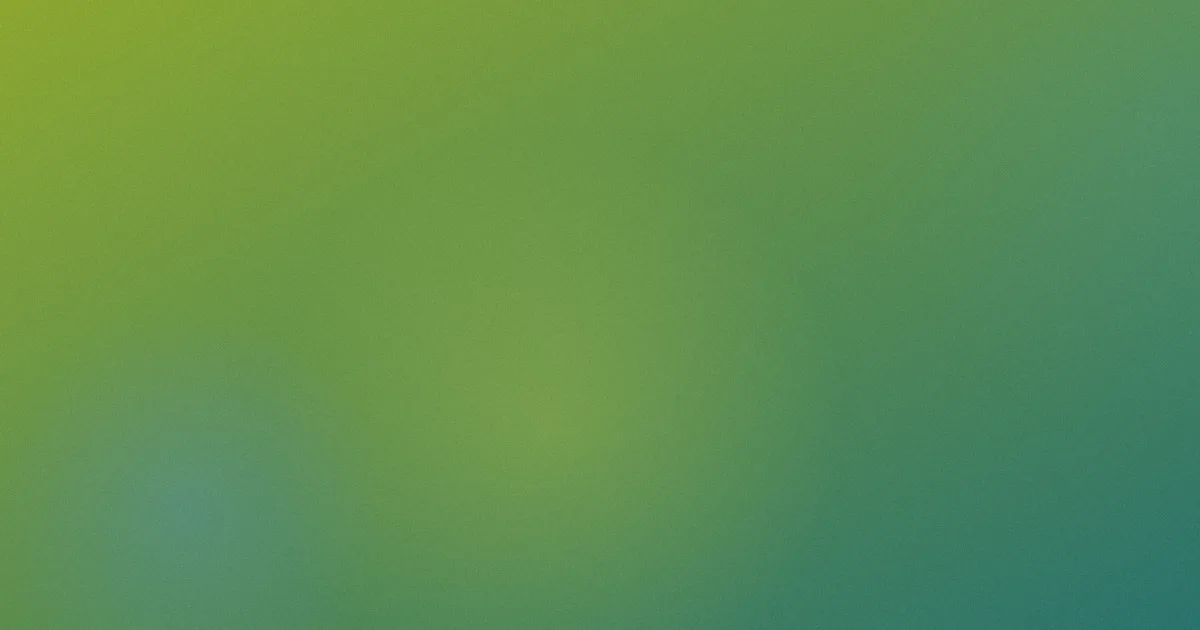 纯境怎么用？我的实测做法
